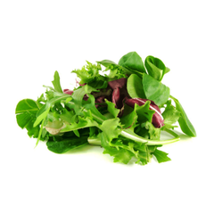 Mix Salat 6*400 gr